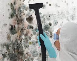 Mold Odor Removal Services in Whitemarsh Island, GA